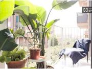 Piso de 1 habitación en alquiler en el Camp den Grassot...