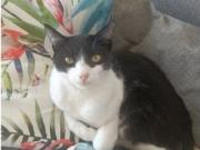 Piso de 2 habitaciones en alquiler en El Camp de lArpa...