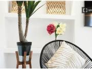 Piso de 2 habitaciones en alquiler en Palma