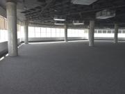 Piso de 804m2 semi acondicionado en renta zona Santa...