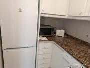 Piso de alquiler en Avinguda de Gabriel Roca, 33, El Terreno