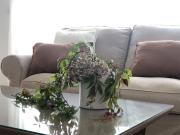 Piso de alquiler en Calle C.luis Fuentes Bejarano, 1,...