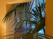 Piso de alquiler en Calle de Suero de Quiñones, 30,...