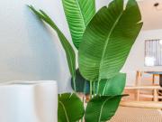 Piso de alquiler en Calle del Pintor Ignacio de Zuloaga,...