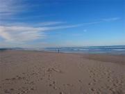 Piso de alquiler en Carrer Rembrandt, 3, Oliva Nova