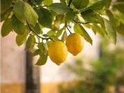 Piso de alto standing de 207 m2 en alquiler en Palma de...