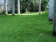 Piso de alto standing en venta en Caracas, Venezuela