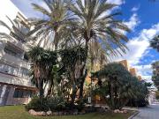 Piso, Divina Pastora, Marbella