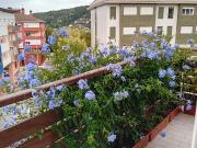 Piso, Donostia San Sebastián