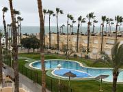 Piso, El Palmeral Urbanova Tabarca, Alicante / Alacant