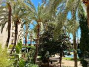 Piso, El Terreno, Palma de Mallorca