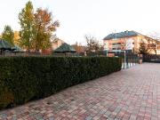 Piso en alquiler, Boadilla del Monte