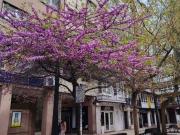 Piso en alquiler en A Coruña, Centro C/ San Andres