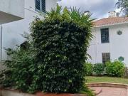 Piso en Alquiler en Aiguadolç Sant Sebastià