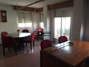 Piso en alquiler en Albacete, Fiesta del arbol