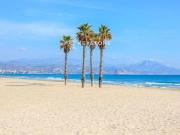 Piso en Alquiler en Alicante Alacant Piso en Alquiler en Alicante Alacant