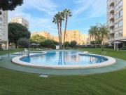 Piso en Alquiler en Alicante Alacant