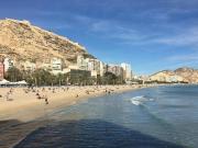 Piso en alquiler en Alicante Alacant de 345 m2