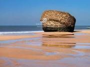 Piso en Alquiler en Almonte