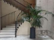 Piso en alquiler en avenida Del Marquès de...