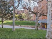 PISO EN ALQUILER EN BARRIO ALBAYDA URBANIZACION GRAN...