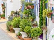 Piso en alquiler en Benalmádena Málaga