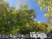 Piso en Alquiler en Cádiz