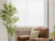 Piso en Alquiler en Madrid