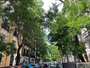 Piso en Alquiler en Madrid