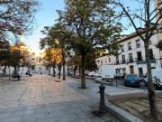 Piso en alquiler en Madrid, La Latina