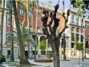 Piso en Alquiler en Murcia