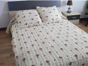 Piso en Alquiler en Salamanca