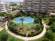 Piso en alquiler en San Juan playa, Dep. miriam blasco...