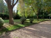 Piso en alquiler en Segovia, Calle Corta, 40003