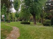 Piso en alquiler, La Moraleja