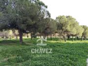 Piso en Pinetons Ripollet