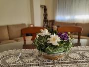 Piso en venta en Albaida. Venta piso en Albaida...