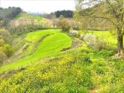 Piso en Venta en Albiztur