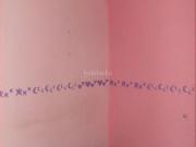 Piso en venta en Alboraya, Zona Metro. Pisos.