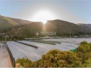 Piso en Venta en Albuñol