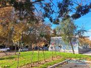 Piso en venta en Alcorcón, Parque Lisboa La Paz. Pisos.