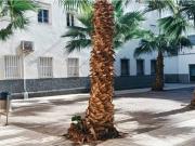 Piso en Venta en Almería