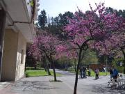 Piso en Venta en Arrigorriaga