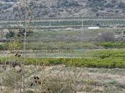 Piso en venta en Avinguda Sants de la Pedra, Doctor...