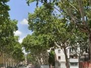 Piso en venta en Badalona, Congres