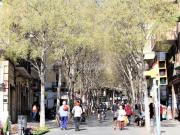 Piso en venta en Barcelona, El Camp de l´Arpa del Clot....
