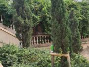 Piso en venta en Barcelona, Sant Gervasi Galvany. Pisos. Piso en venta en Barcelona, Sant Gervasi Galvany. Pisos.