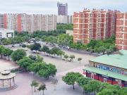 Piso en Venta en Bellvitge