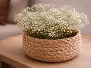 Piso en venta en Benalmádena, Solymar. Pisos.