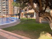 Piso en venta en Benidorm, Playa Poniente. Piso en venta...